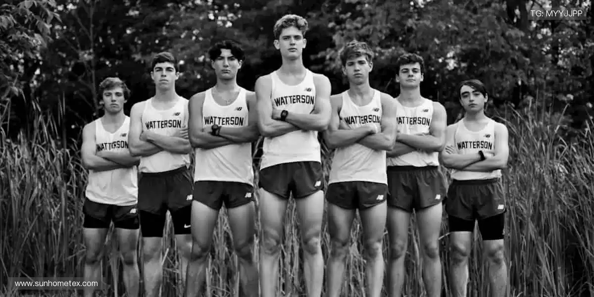 🎯 精准直播，互动不停！💬